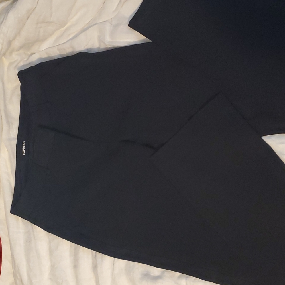 Express Womens Dress Pants